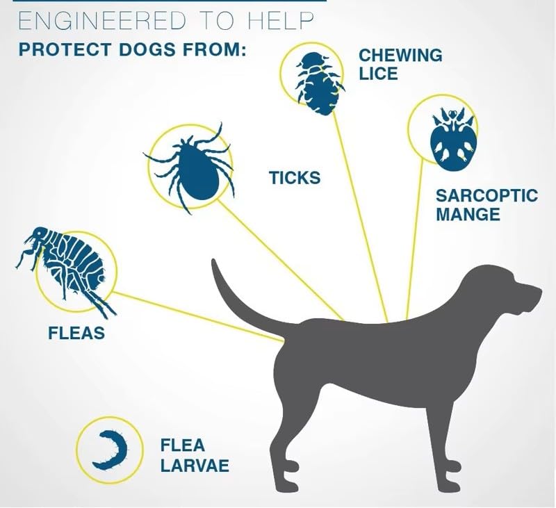 Anti-Tick Collar for Dogs & Cats