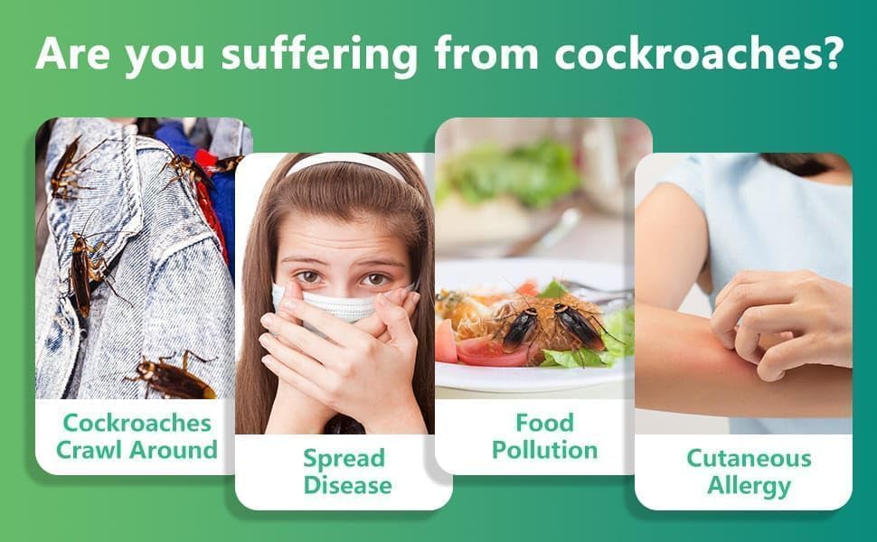 SoulPiks Cockroach Killer Gel (Pack of 12)