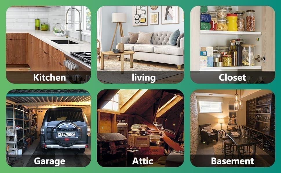 SoulPiks Cockroach Killer Gel (Pack of 12)